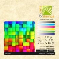Marina Conchiglia 175 gr
