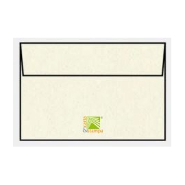 Buste Modigliani Avorio 12x18